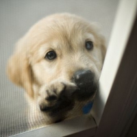 Czemu mnie nie wpuścisz?