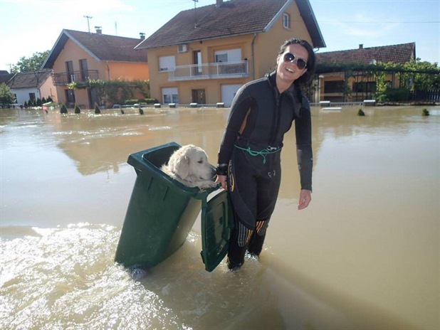 Dziewczyna ratuje psiaka z powodzi